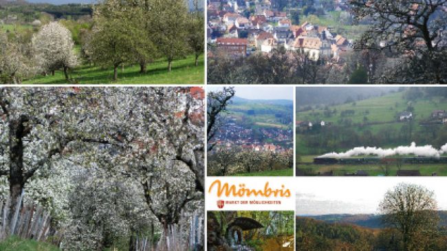 Die Mömbriser Postkarte