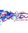 Shampoo-Haarmode
